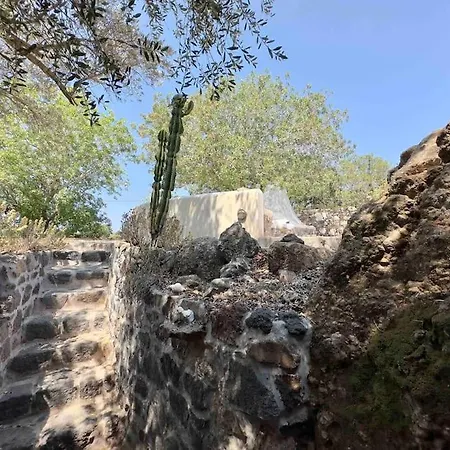 Nisyros Traum „speladi“ Mandrákion