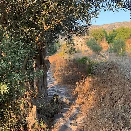 Nisyros Traum „speladi“ *