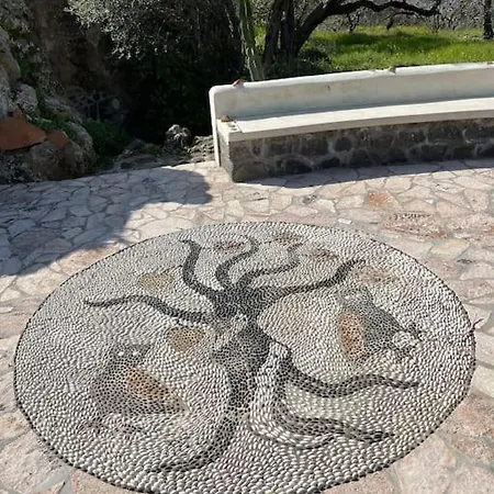 Nisyros Traum „speladi“