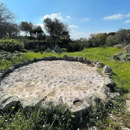 Nisyros Traum „speladi“ * Mandrákion
