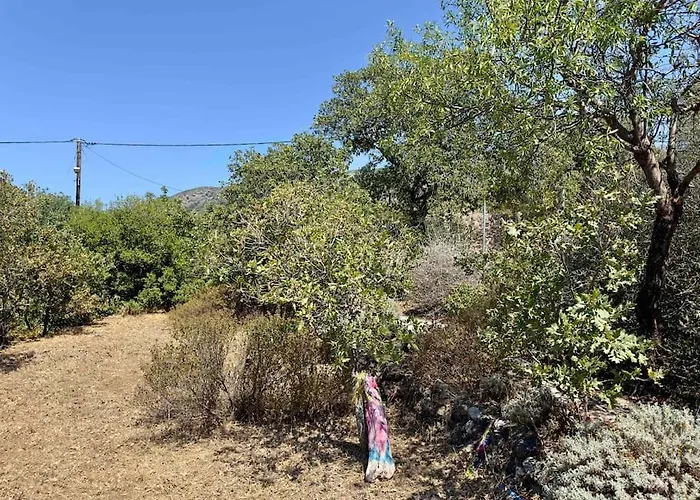 Daire Nisyros Traum „speladi“