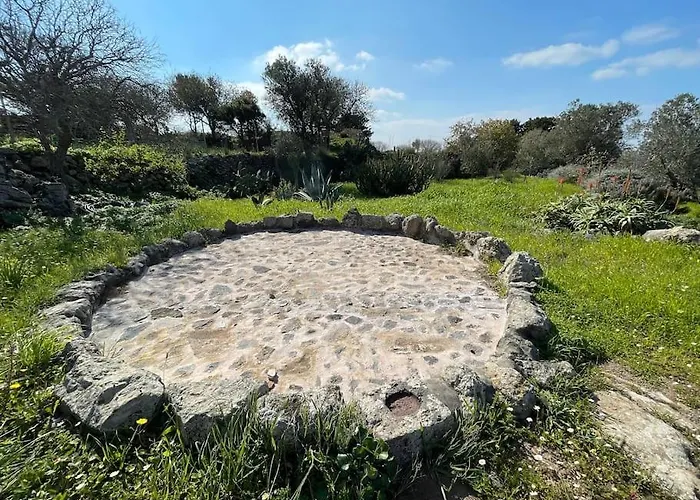 Nisyros Traum „speladi“ * Mandrákion