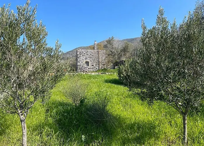 Daire Nisyros Traum „speladi“