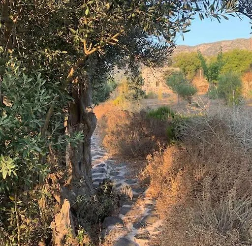 Nisyros Traum „speladi“ *