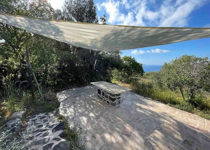 Nisyros Traum „speladi“ * Mandrákion